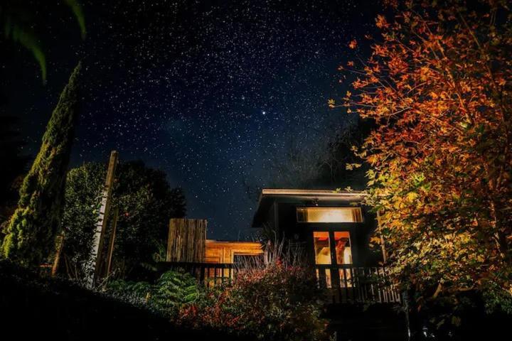 Starry Nights Cabin Fever Waikino Εξωτερικό φωτογραφία