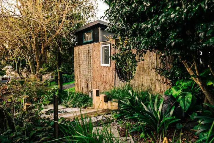 Starry Nights Cabin Fever Waikino Εξωτερικό φωτογραφία